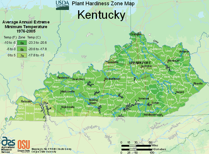 Kentucky Hardiness Zone