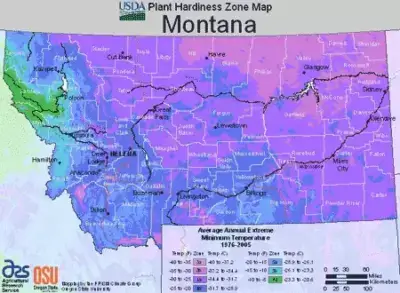 Montana Region Map