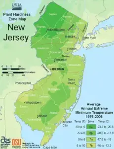 New Jersey Map